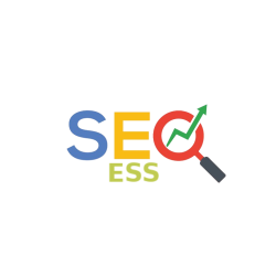 1 Year SEO